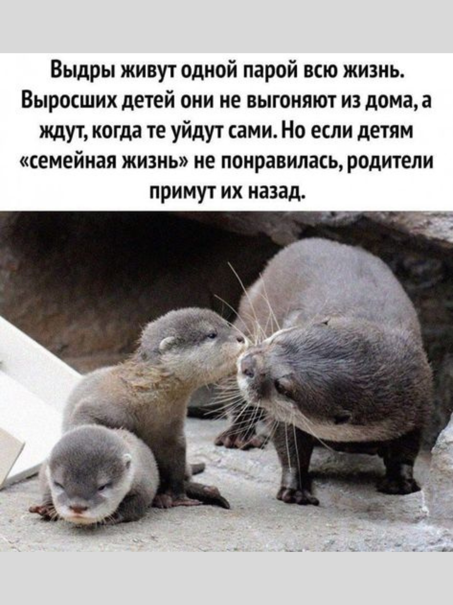 Который как я думал. Который как я думал