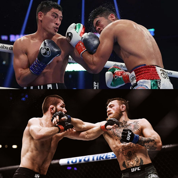 Бокс (верхнее фото) и мма (нижнее фото)