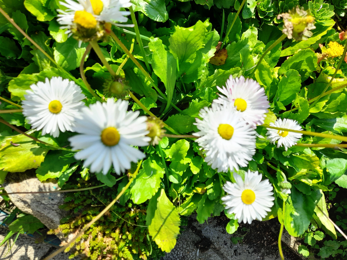 Фото автора канала