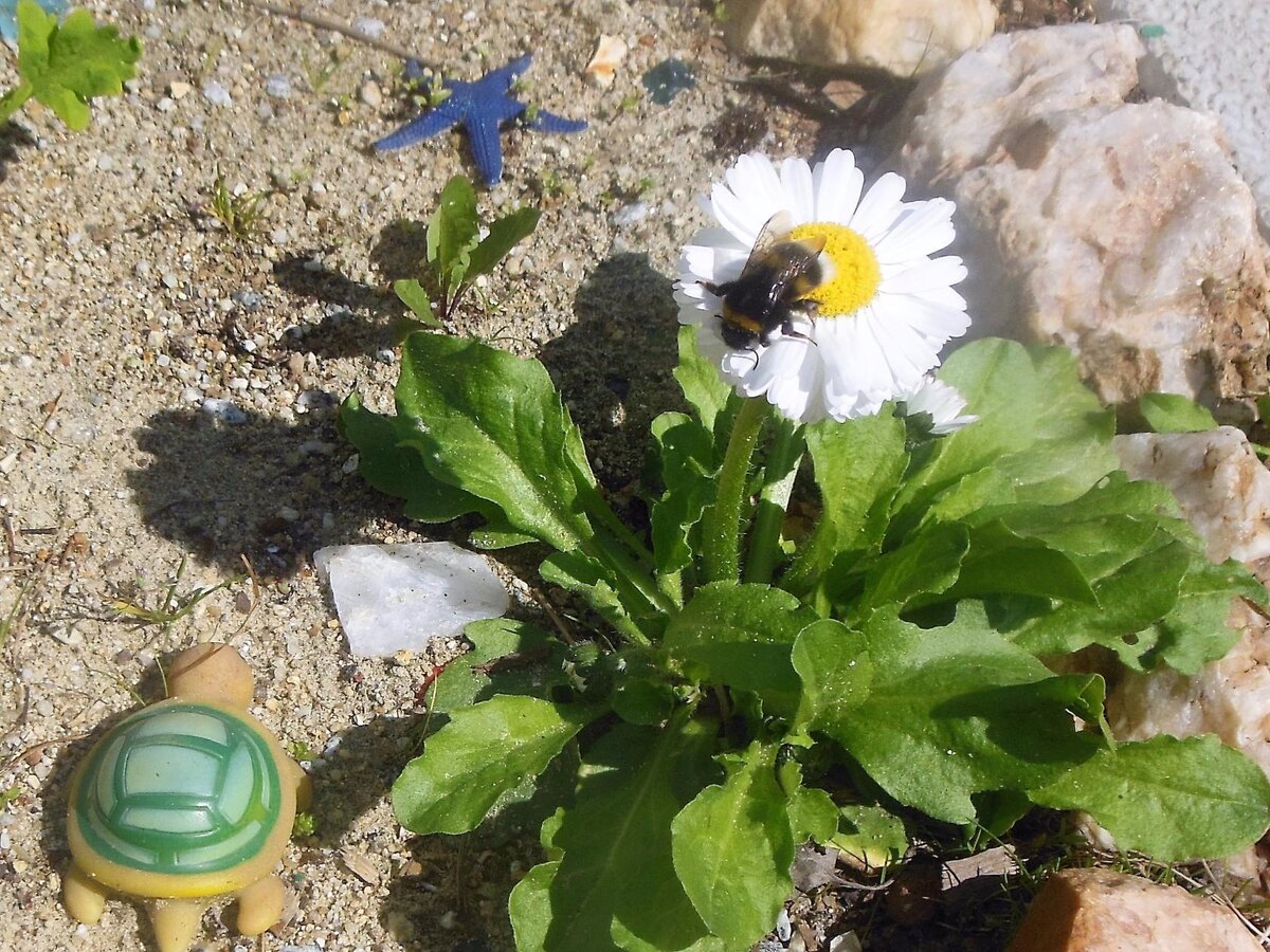 Фото автора канала