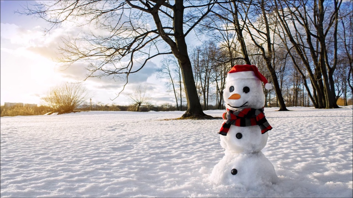# "Снеговик из воспоминаниях" Картина из общего доступа интернета.