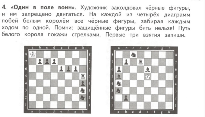 из тетради И.Г. Сухин Там клетки черно-белые, чудес и тайн полны