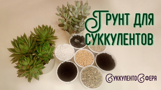 Грунт для суккулентов