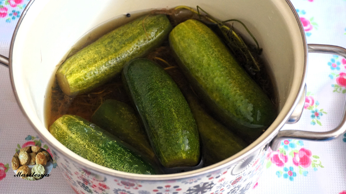 Как приготовить малосольные огурцы.