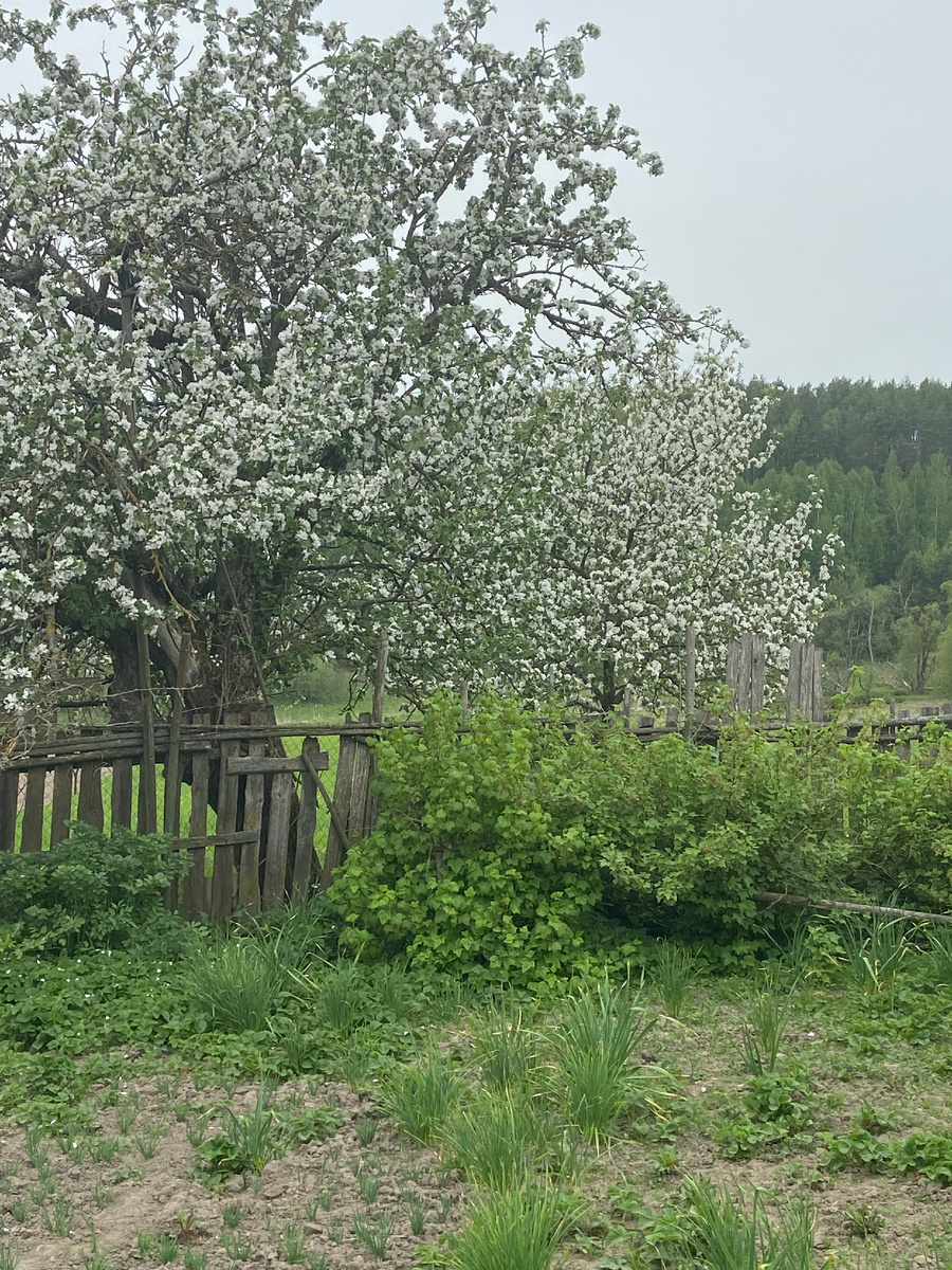 Фото в деревне