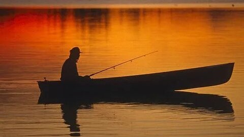 Заключительная часть рыбалки, результат 3 часов на реке