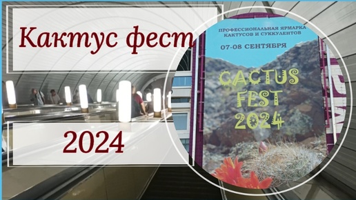 🌵CACTUS FEST 2024 🌵моими глазами.