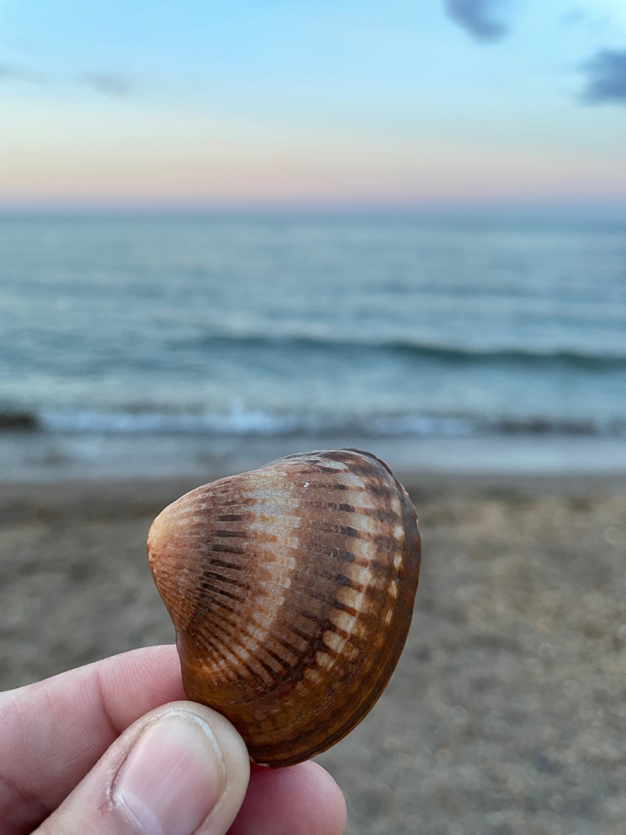 Каспийское море 