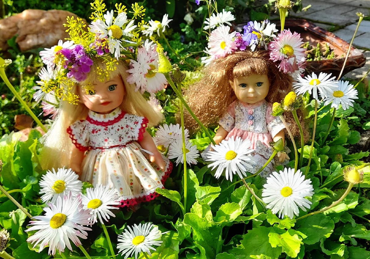 Фото автора канала