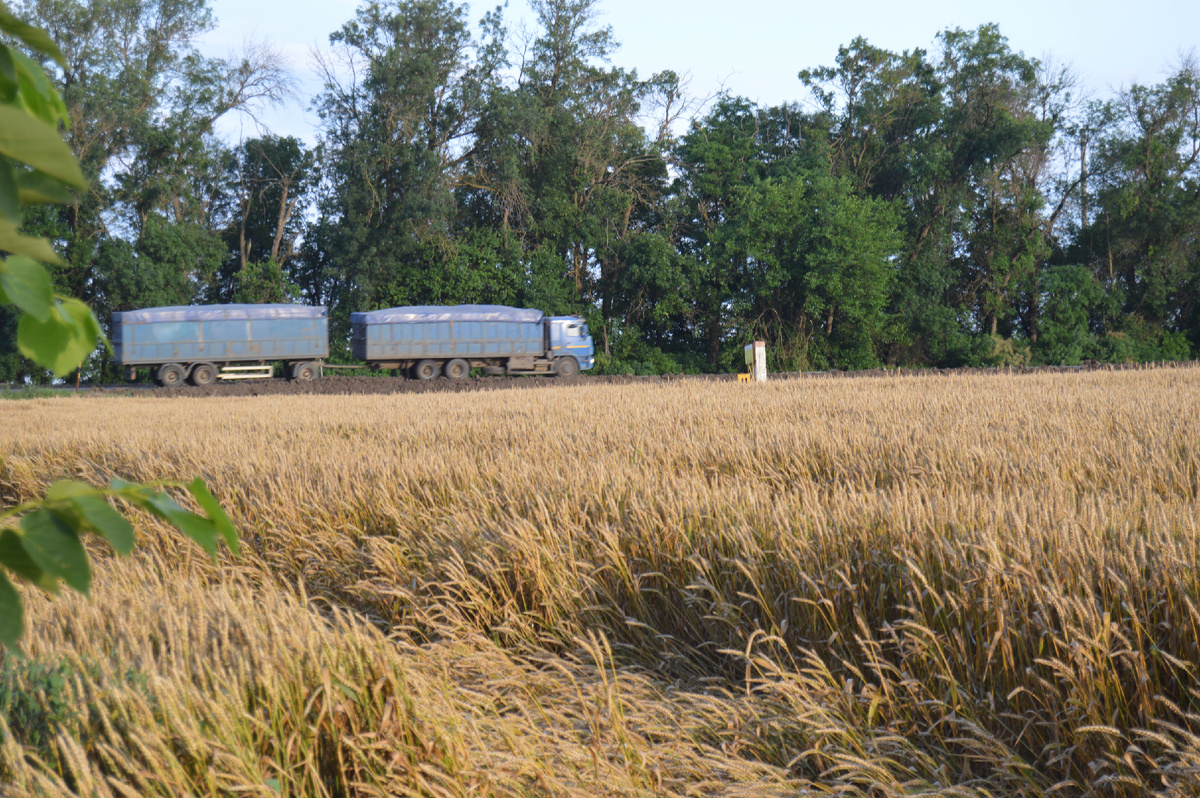 Фото автора. Июнь 2023. Зерновоз устремился в морской порт. Элеваторы готовят под зерно нового урожая.