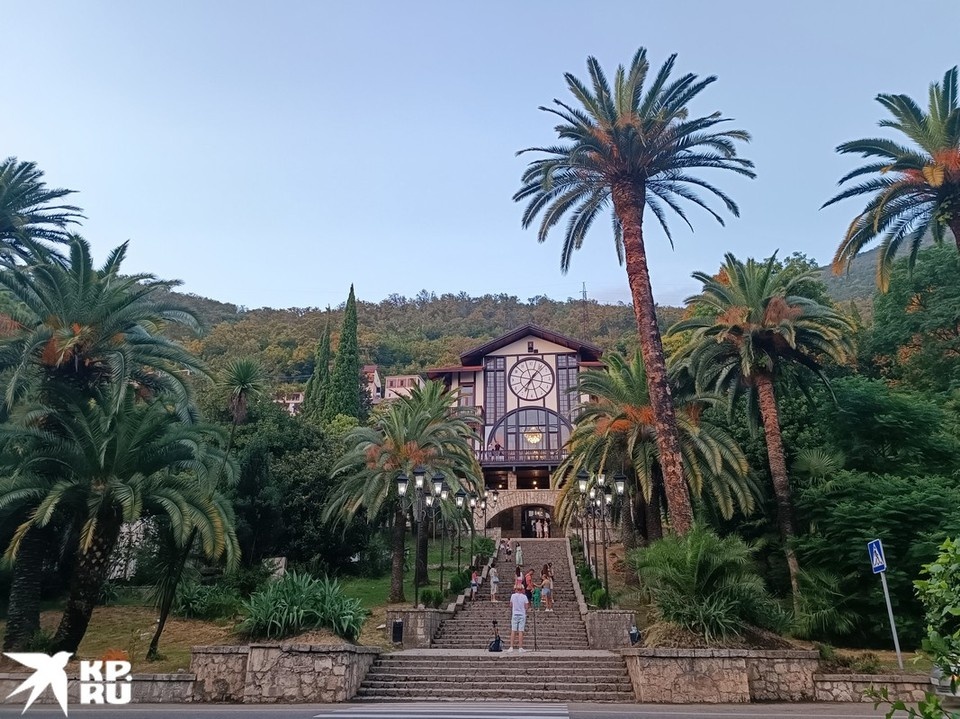   Анна МИНАЕВА