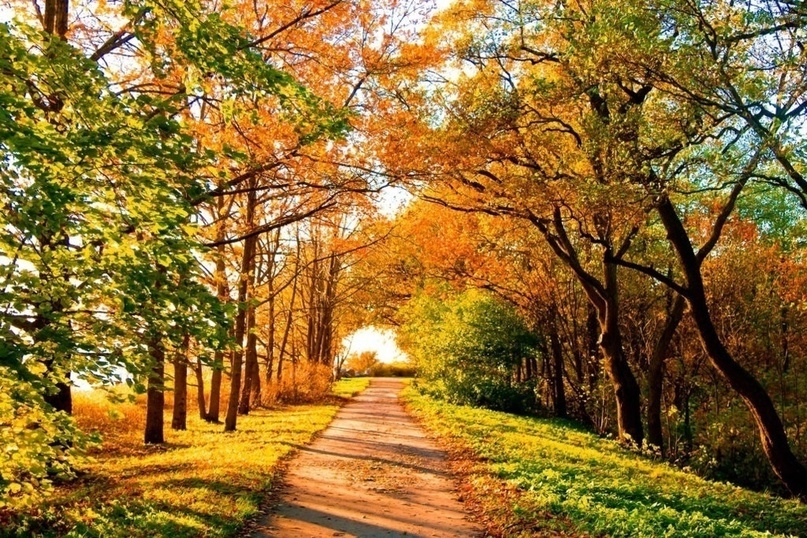 Создать карусельДобавьте описание