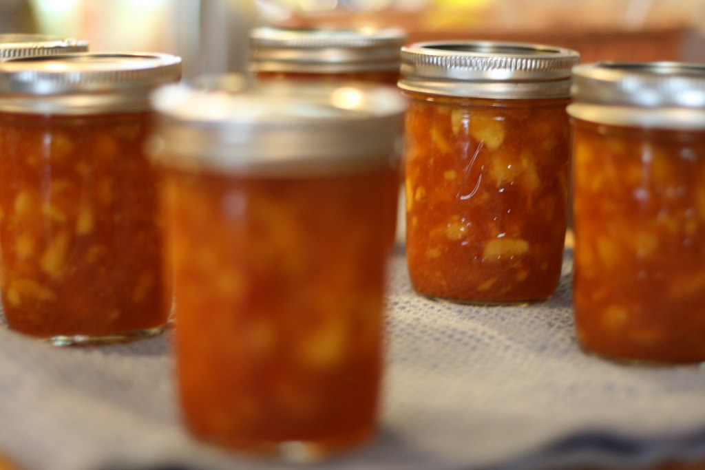 Фото: stephk / Wordpress.org / openverse