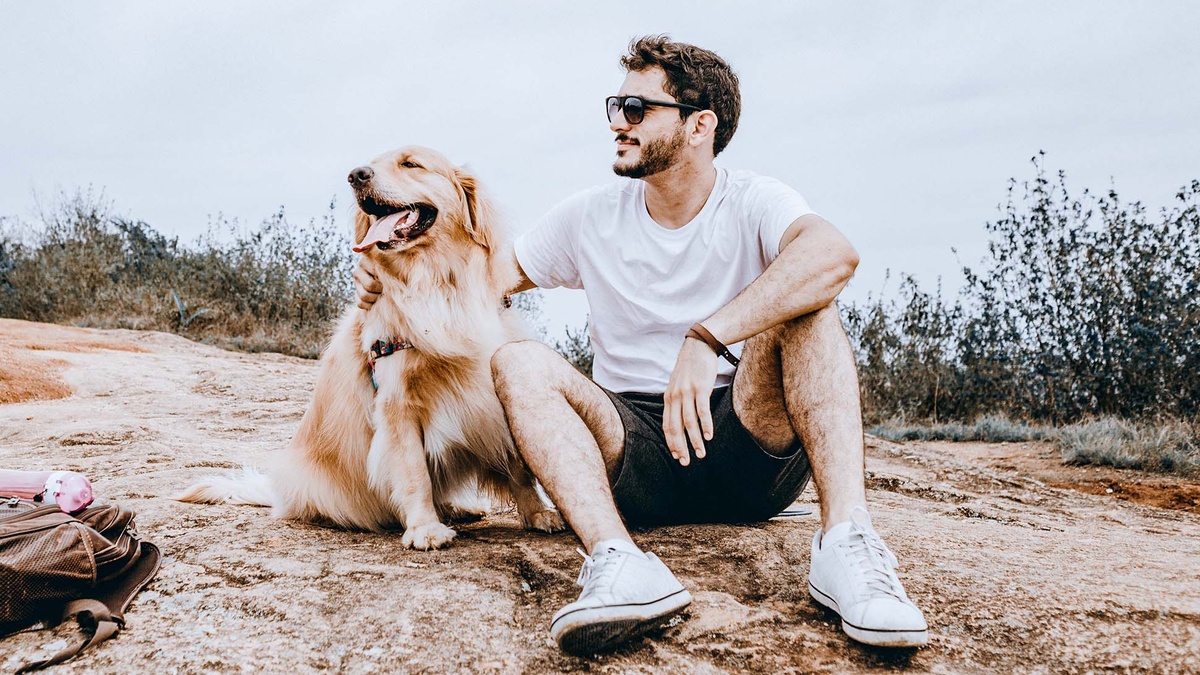 Фото: pexels.com