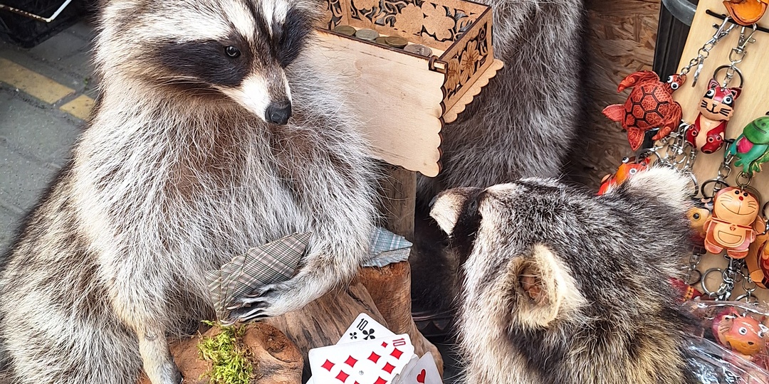 5 причин почему в отпуске отключается мозг и люди тупеют