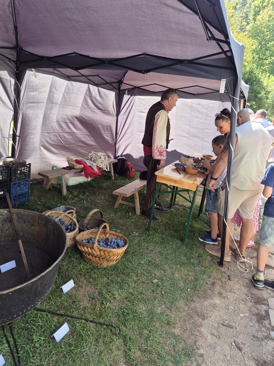 Сначала рассказывают как отбирать фрукты.