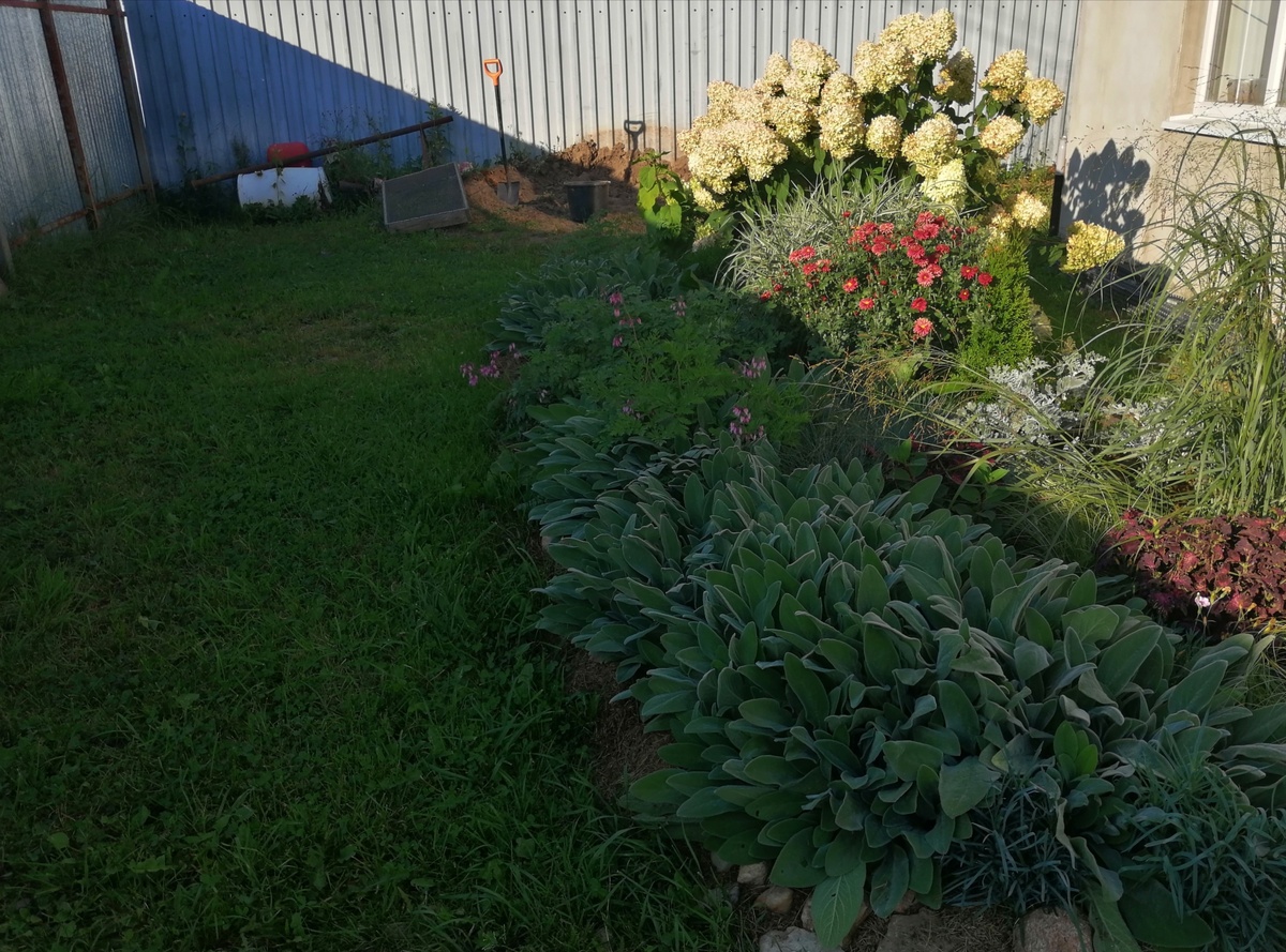 Итог работы прошлой недели