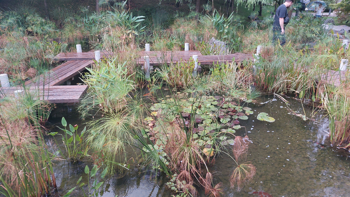 Иногда полезно оглянуться на дорогу назад, чтобы уверенно смотреть вперёд. Фото автора 