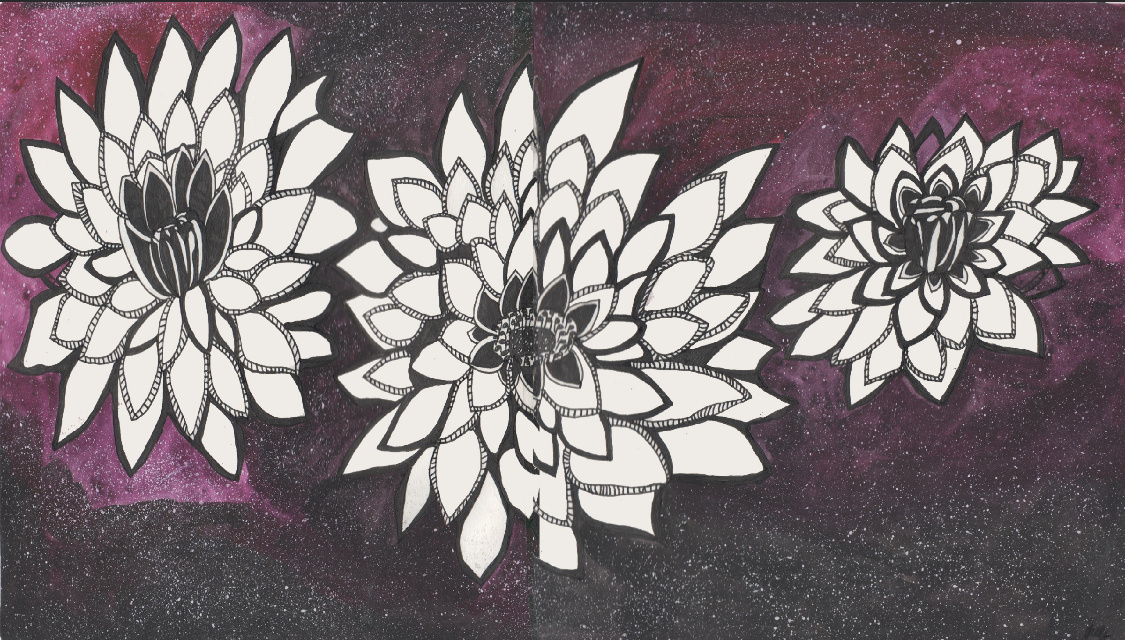 Ботанические иллюстрации — 23 июля — 22 августа 2017 vol. 1