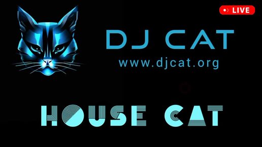 Дип хаус сеты миксы ремиксы диджеев новинки 2024 2025 - DEEP HOUSE CAT - DJ CAT live set mix remix