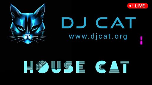 Дип хаус сеты миксы ремиксы диджеев хиты летних дискотек 2024 2025 - DEEP HOUSE CAT - DJ CAT live set mix remix