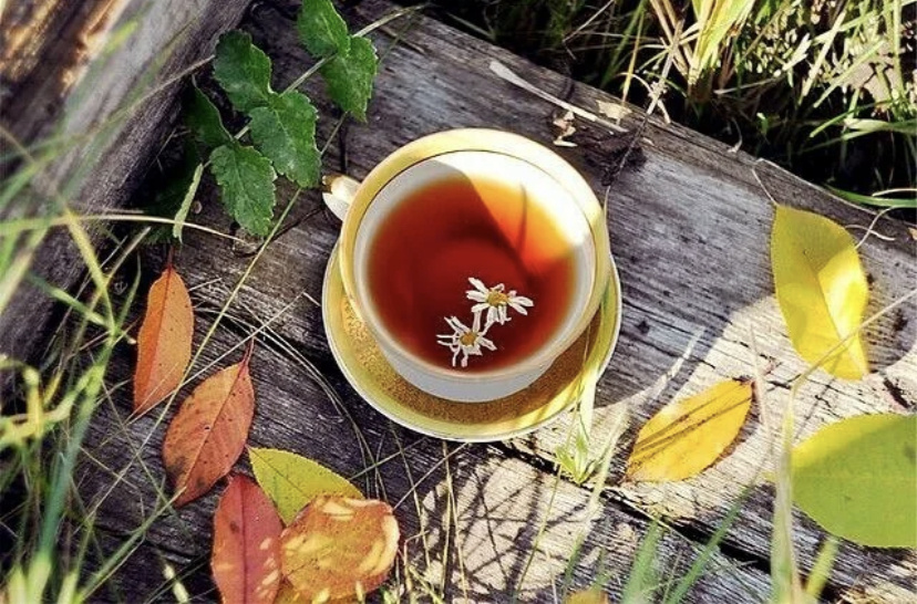 В свободном доступе в сети 