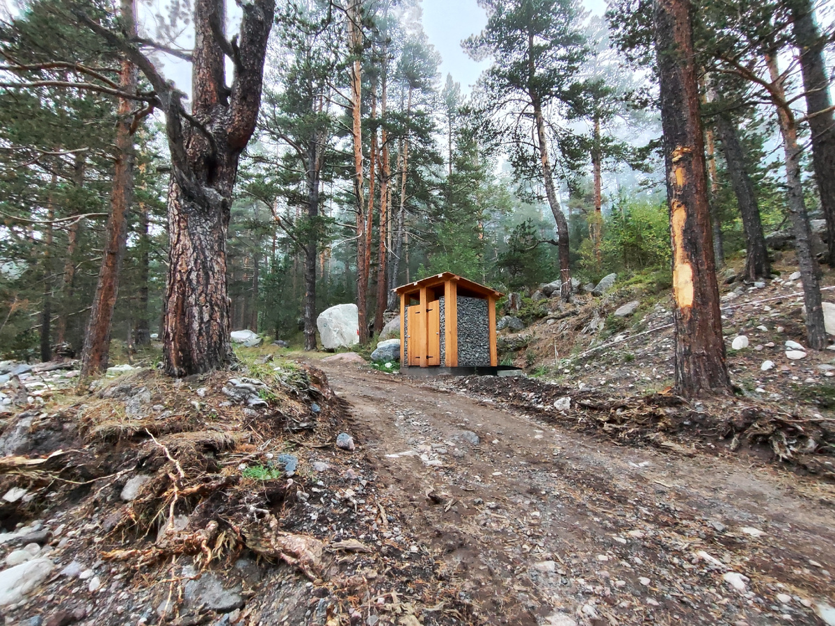 Обратная сторона медали: строительство эко-тропы повредило деревья (сентябрь 2024 года)
