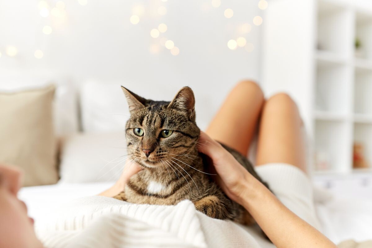 Женщина с кошкой 
