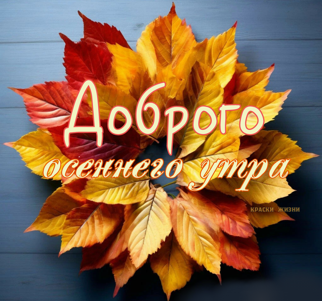 Картинки с добрым утром краски жизни