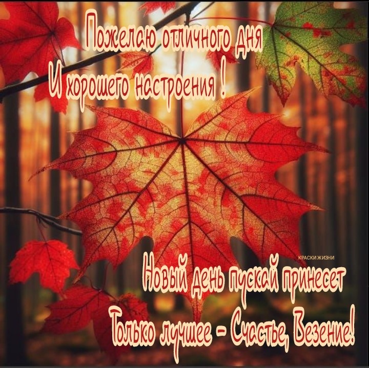 Пожелаю отличного дня                                           И хорошего настроения!                                                          Новый день пускай принесет                         Только лучшее - счастье, везение!