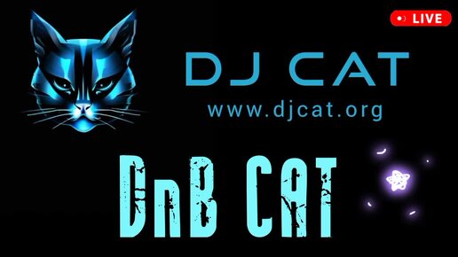 Драм-энд-бейс сеты миксы ремиксы диджеев 2024 2025 - DRUM-AND-BASS CAT REMIX - DJ CAT - летние хиты дискотек и вечеринок