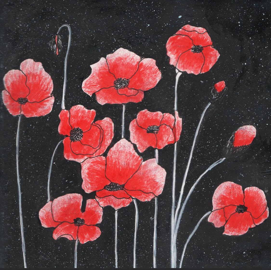 Ботанические иллюстрации — 23 июля — 22 августа 2017 vol. 1