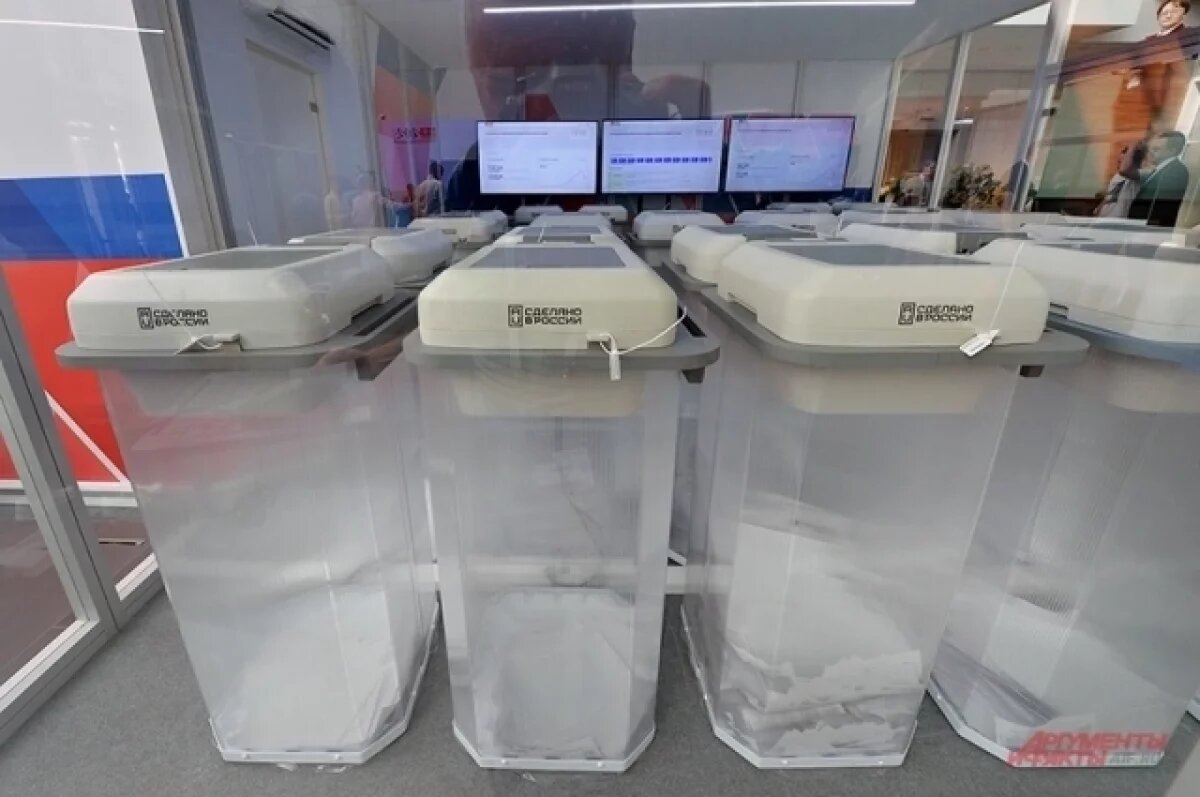    Памфилова: на избирательный участок в Самаре пришел еж