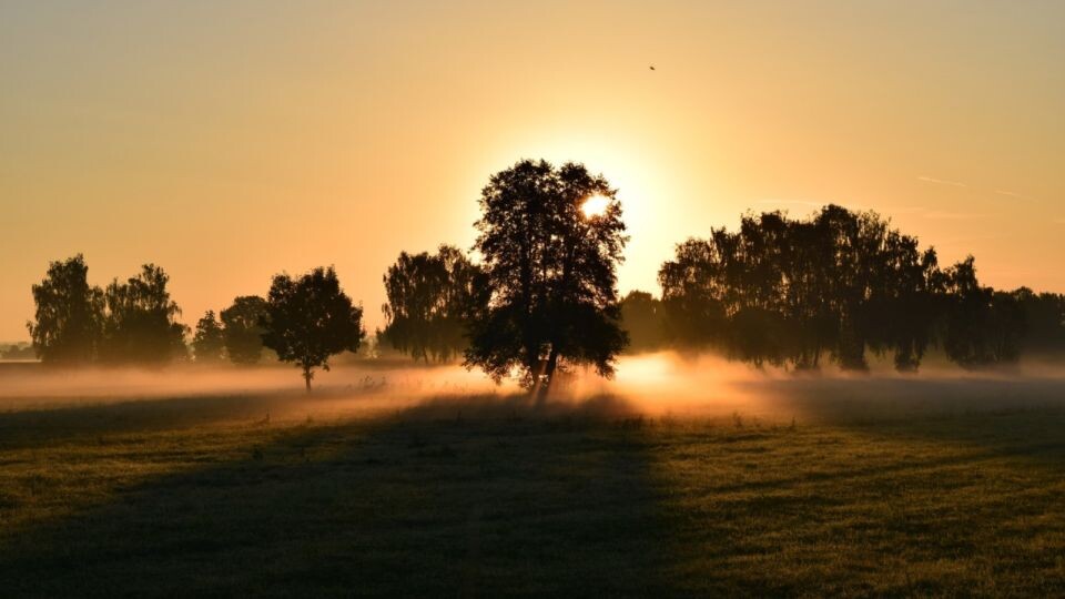    Туман. Источник: pixabay.com