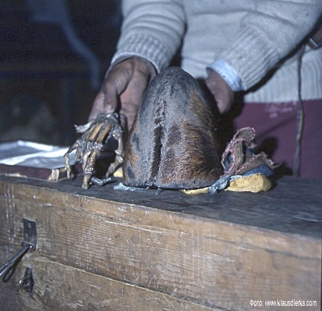 Реликвии монастырей: якобы кисть и скальп йети.