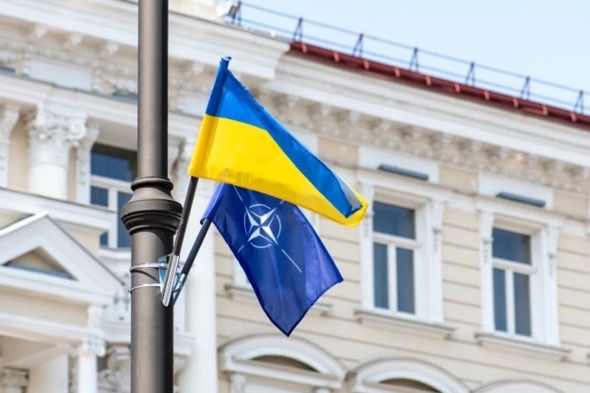    В Белоруссии сообщили о вбросах о возможном приеме Украины в НАТО по частям