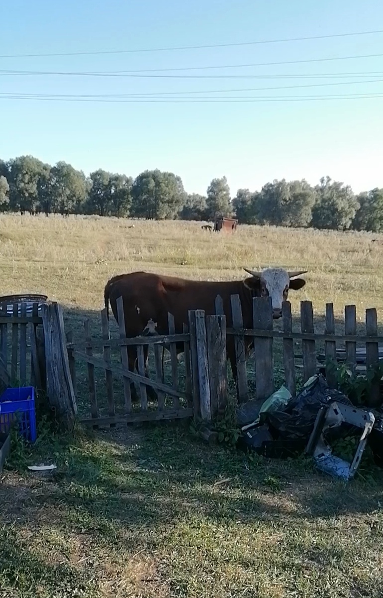 Вдали скважина