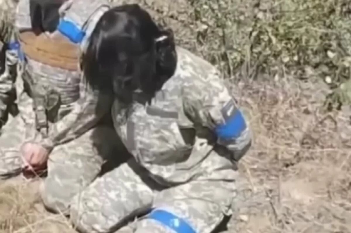    Секс-армия.