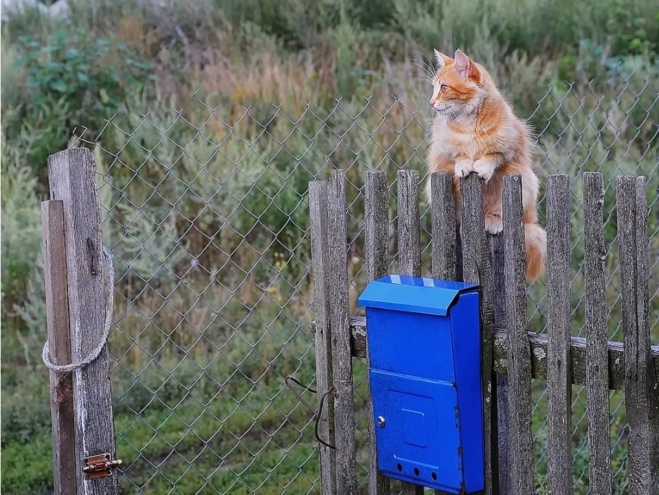 Скриншот автора