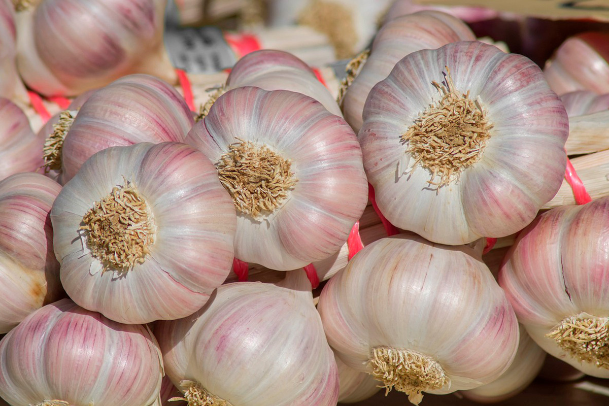    Фото: jackmac34 / Pixabay.com