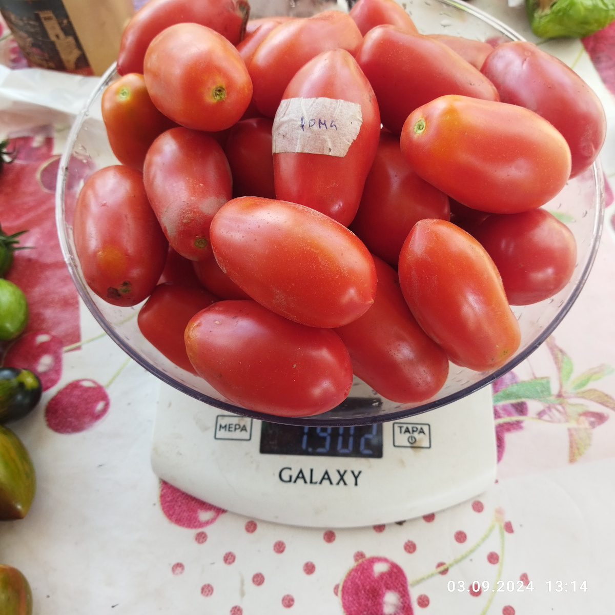 Фото 3 сентября 24 года