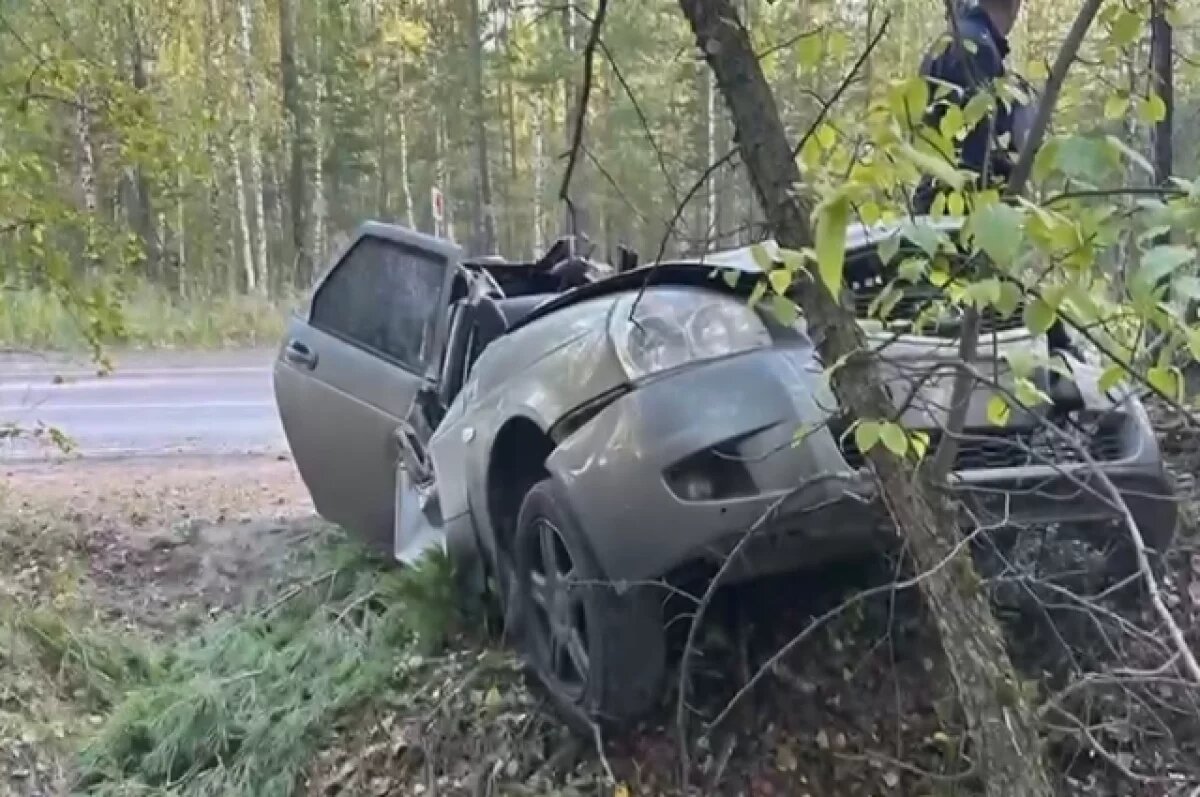    «Лада Приора» в Миассе врезалась в дерево, водитель погиб