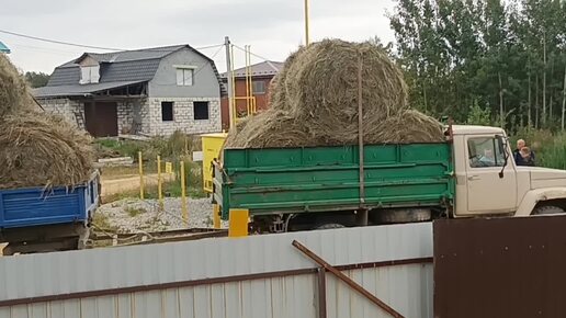 Привезли вторую партию сена/ Надо ещё дров для бани купить/ Погода меняется.