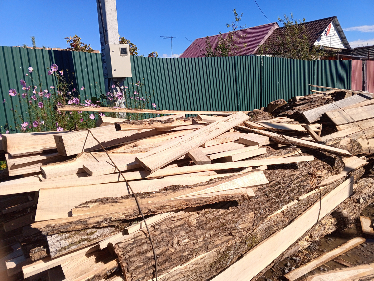 Чуть не задавили мои цветы под забором