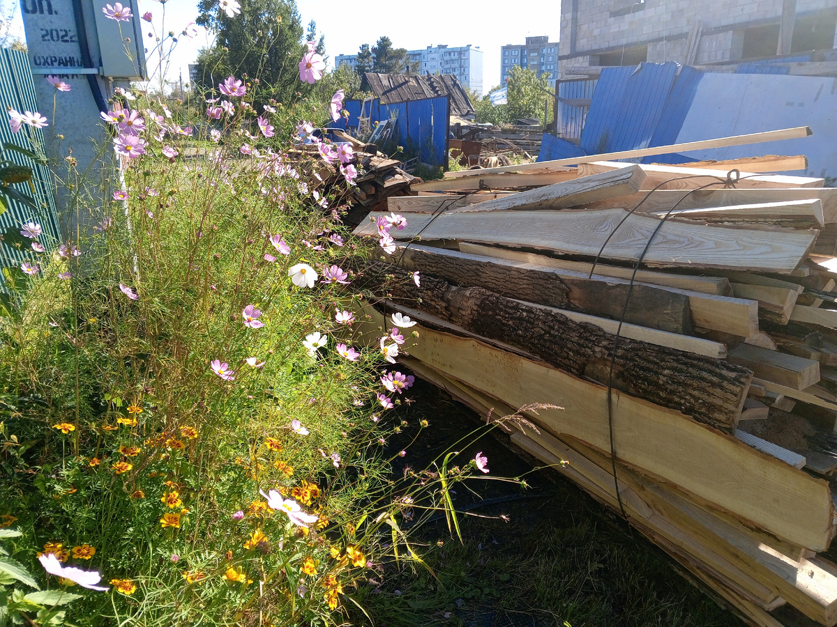 Зеленый забор- наш. Напротив сосед строит двухэтажный домик. Я нервничаю