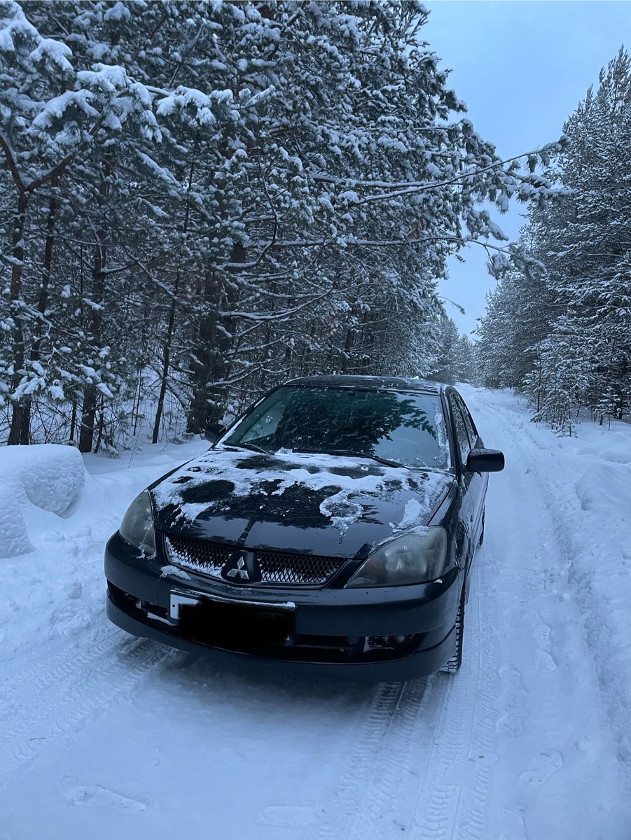 В зимнем лесу