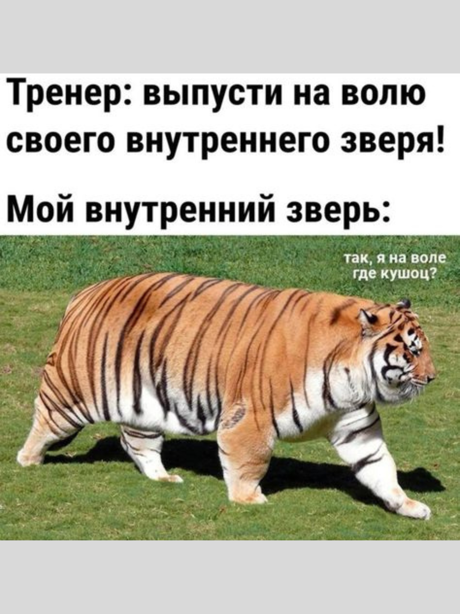 Он не обижается как