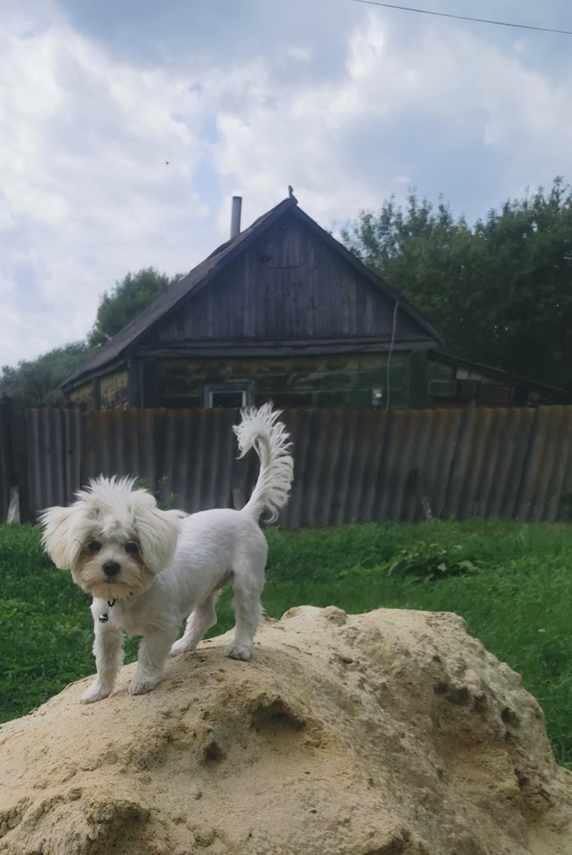 Мой дом, моя крепость.