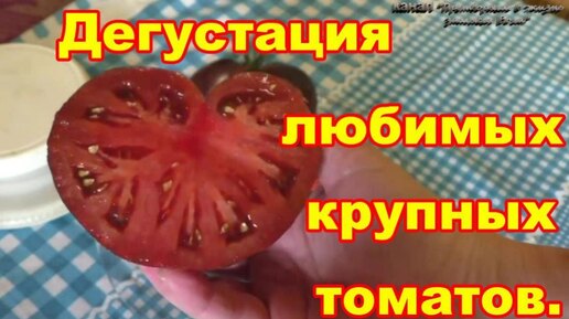 Дегустация самых любимых крупноплодных томатов