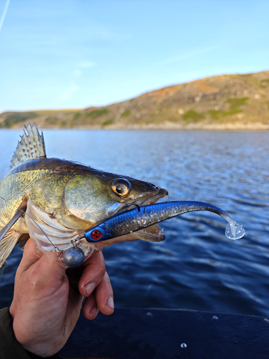 Narval Skinny Tasty Morsel 14 см